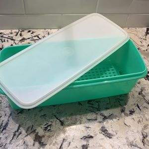 TUPPERWARE Vintage Jadeite Celery Lettuce Keeper